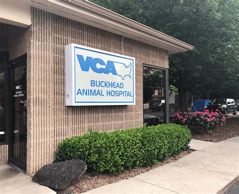 vca buckhead animal hospital|VCA BUCKHEAD ANIMAL HOSPITAL .